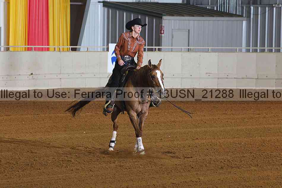 Proof 13usn_21288