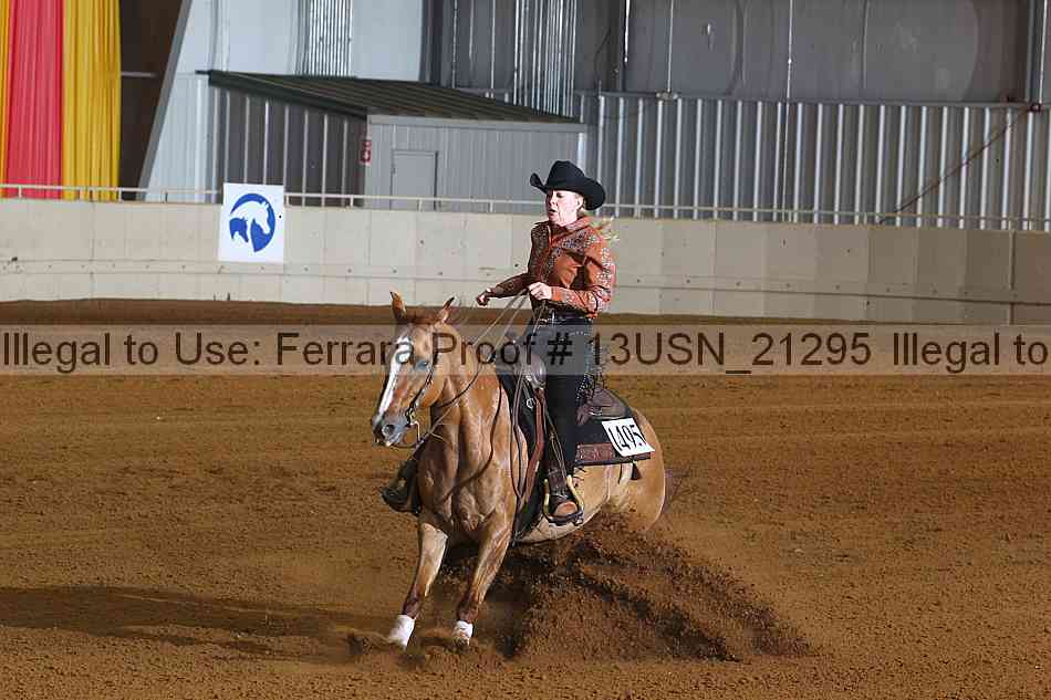 Proof 13usn_21295