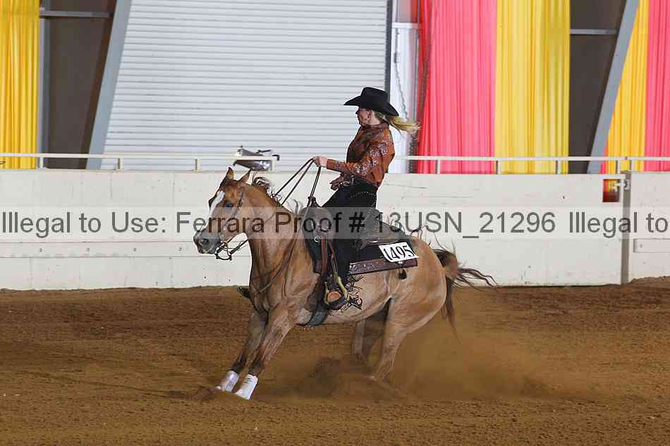 Proof 13usn_21296