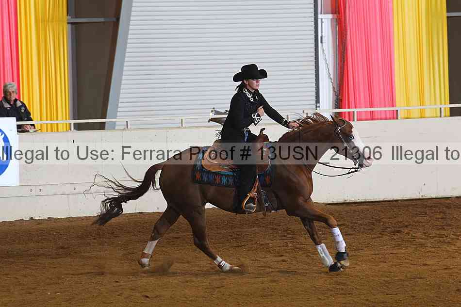 Proof 13usn_21306