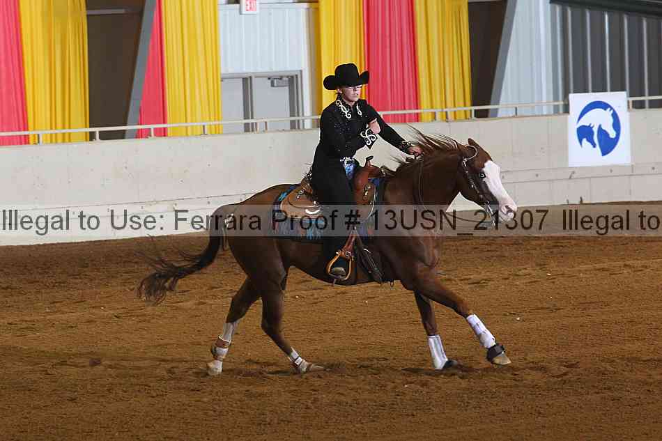 Proof 13usn_21307