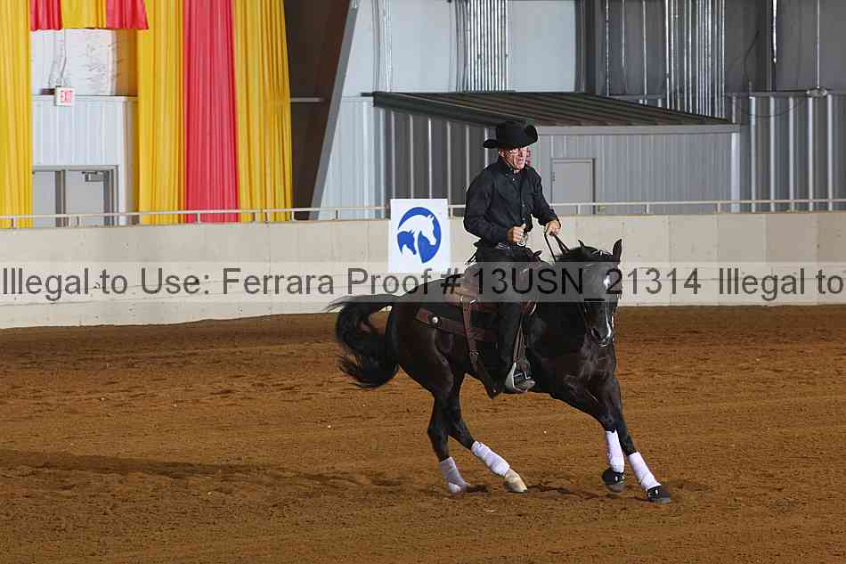 Proof 13usn_21314