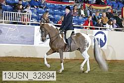 13usn_32894 proof