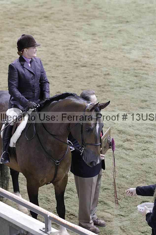 Proof 13usn_32917