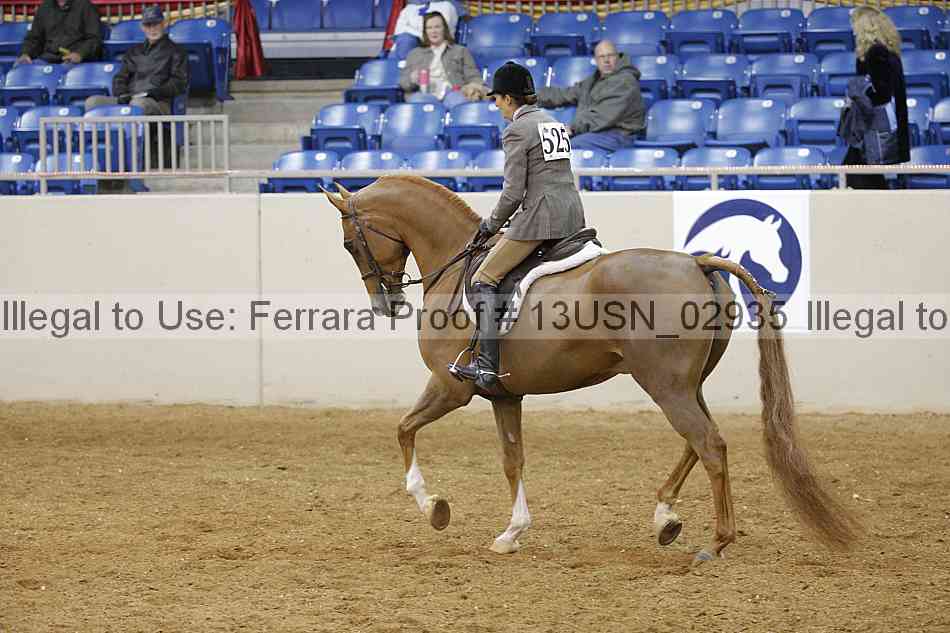 Proof 13usn_02935