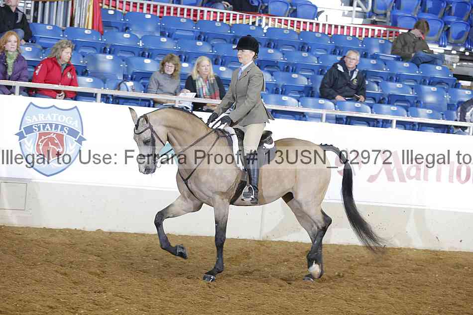 Proof 13usn_02972