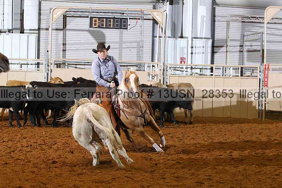 Proof 13usn_28353