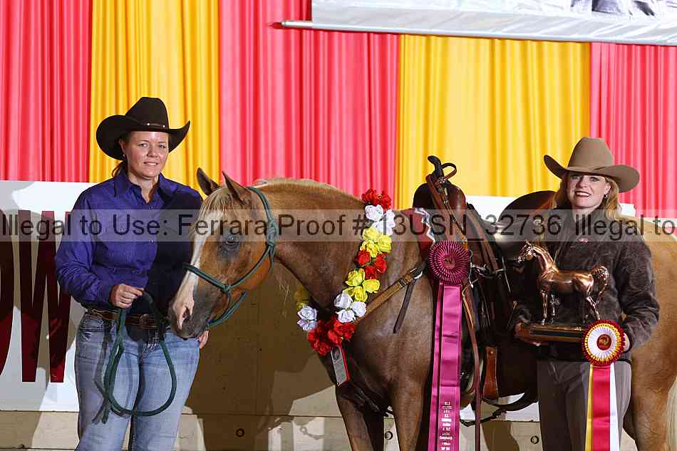 Proof 13usn_32736