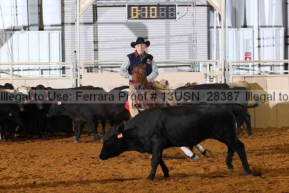 Proof 13usn_28387