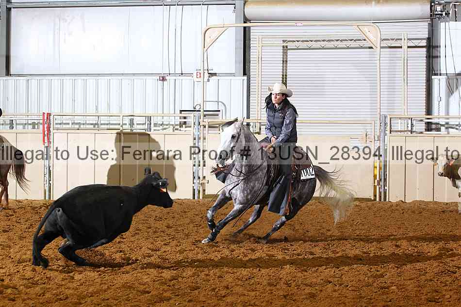 Proof 13usn_28394