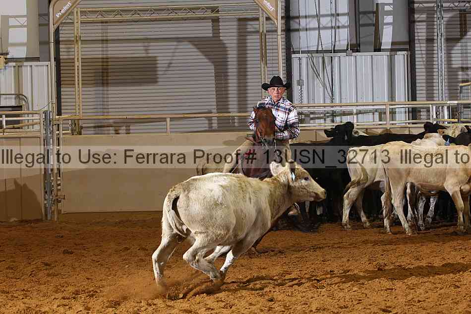 Proof 13usn_32713
