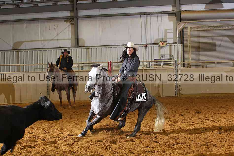 Proof 13usn_32728