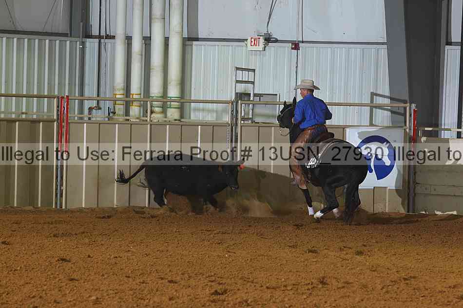Proof 13usn_27930