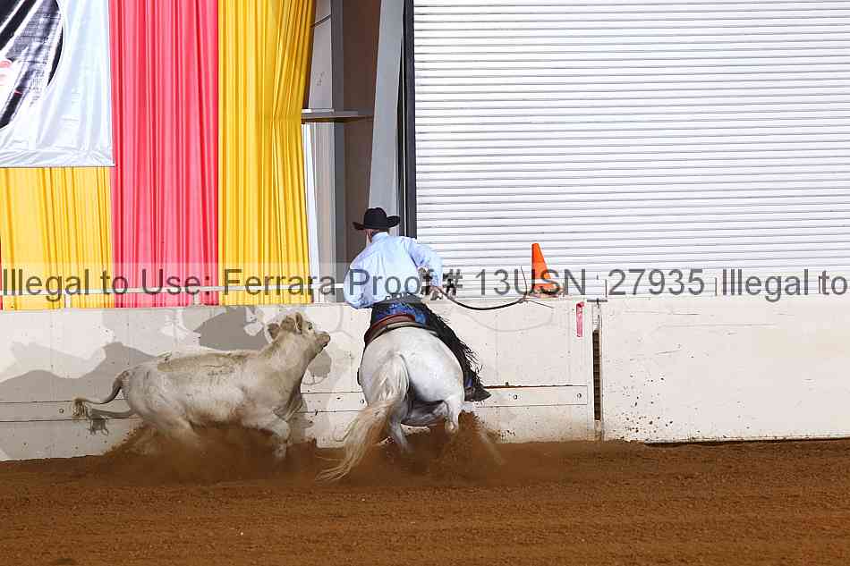 Proof 13usn_27935