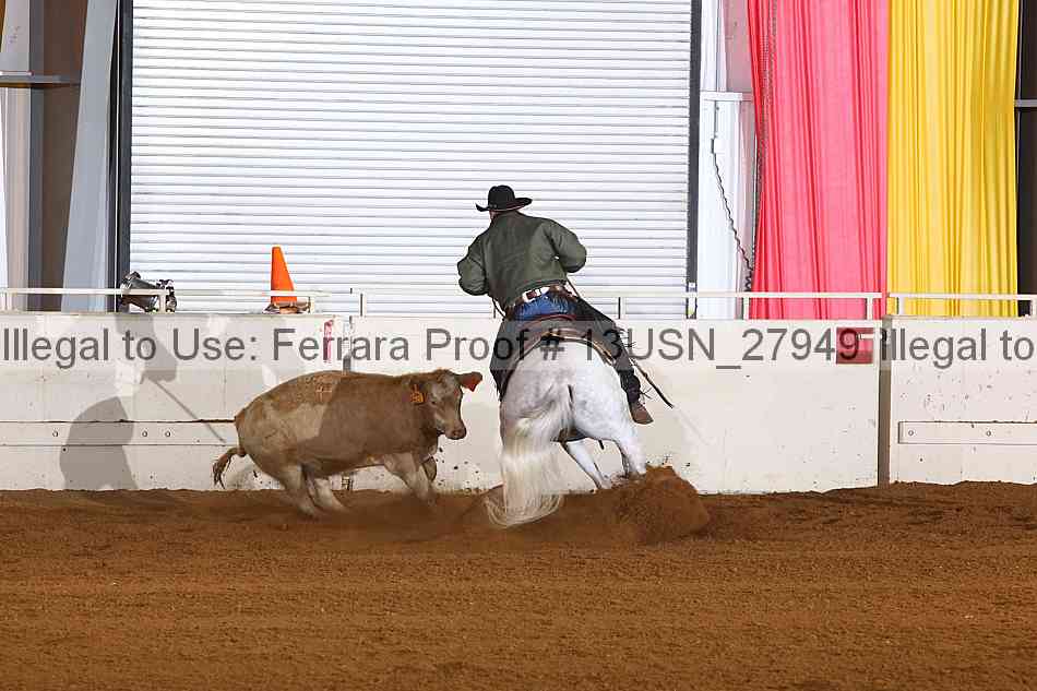 Proof 13usn_27949