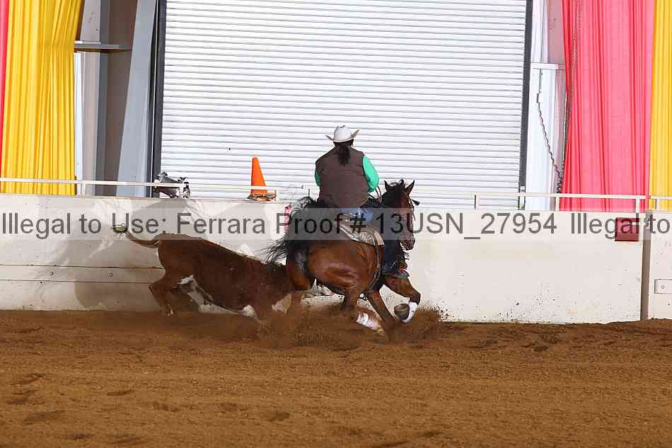 Proof 13usn_27954
