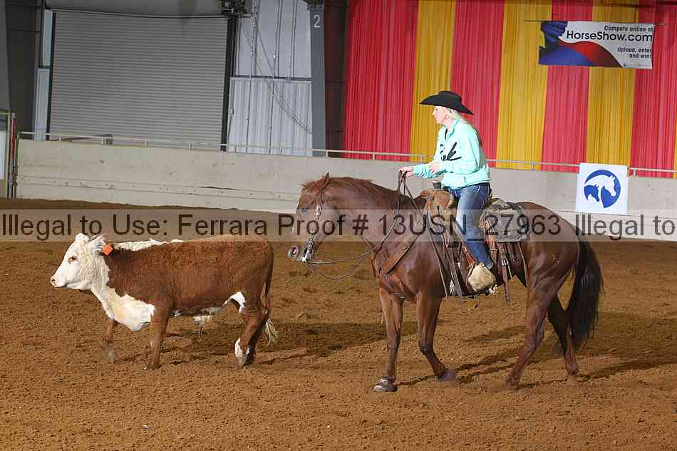 Proof 13usn_27963