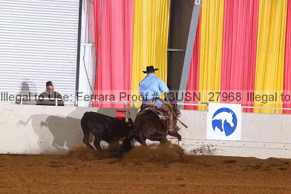 Proof 13usn_27968