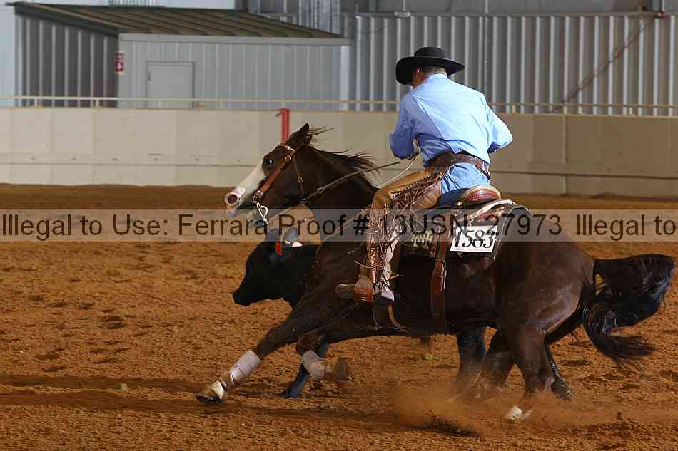 Proof 13usn_27973