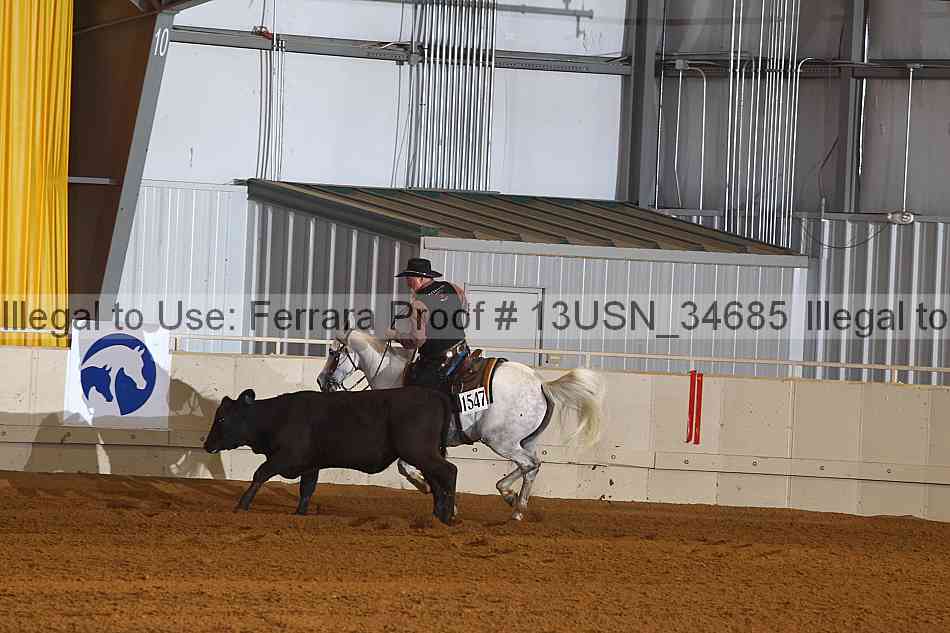 Proof 13usn_34685