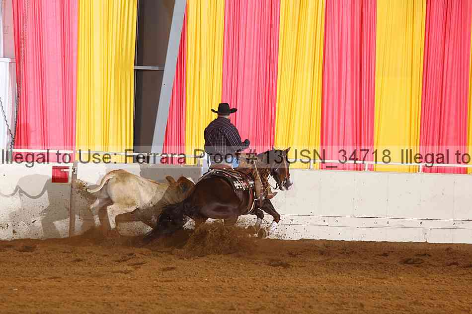 Proof 13usn_34718
