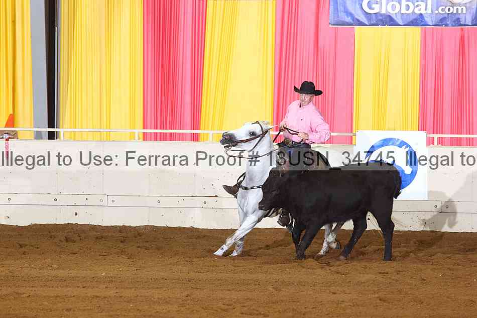 Proof 13usn_34745