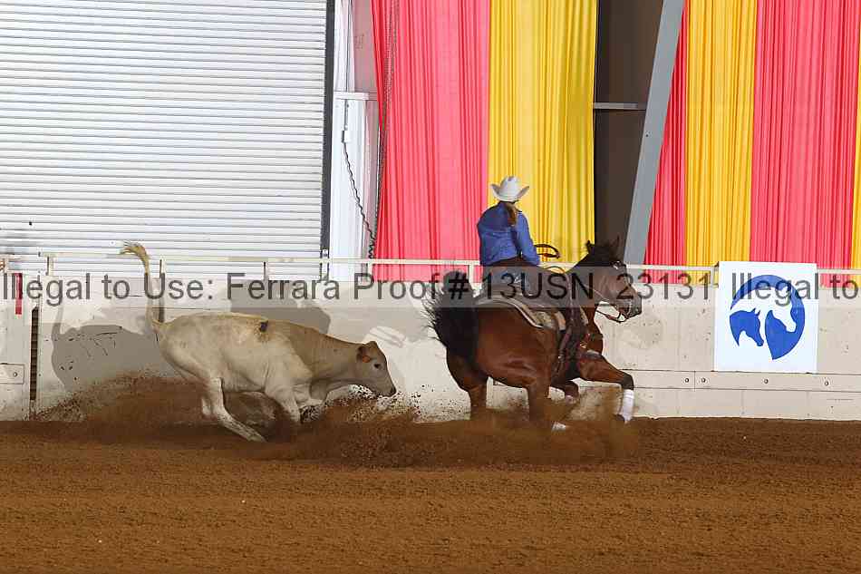 Proof 13usn_23131