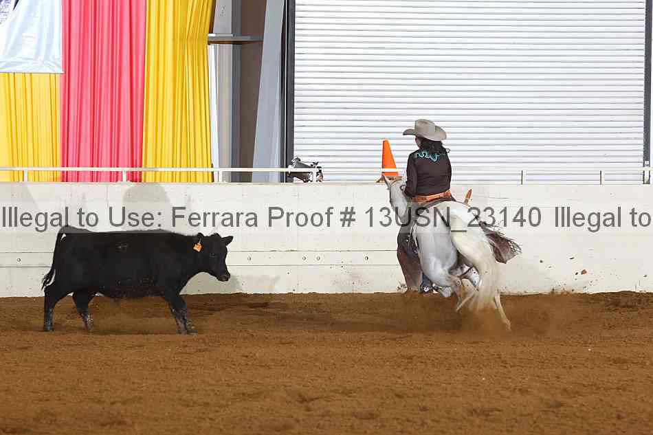 Proof 13usn_23140