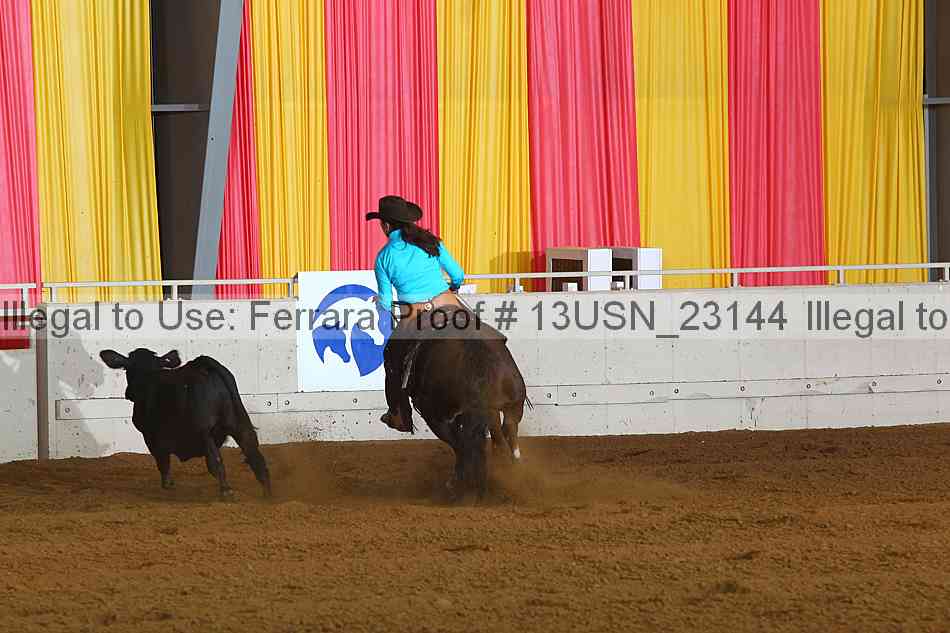 Proof 13usn_23144