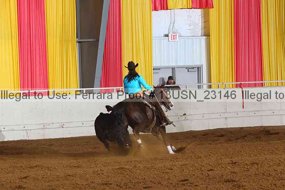 Proof 13usn_23146