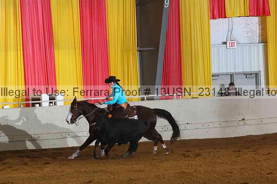 Proof 13usn_23148