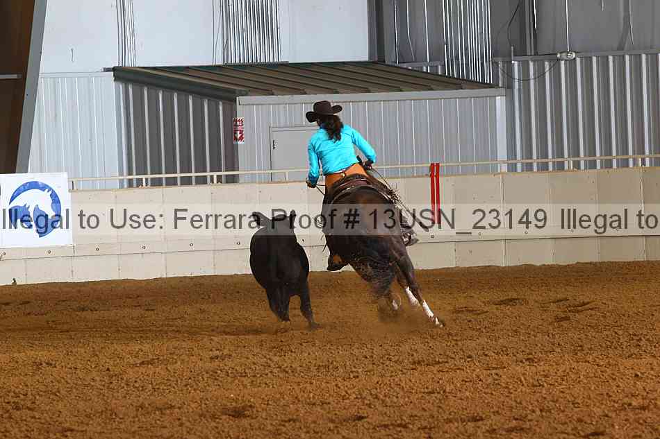 Proof 13usn_23149