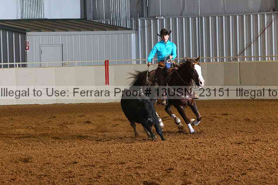 Proof 13usn_23151