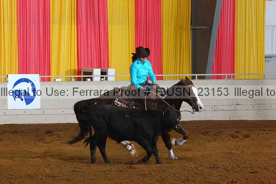 Proof 13usn_23153