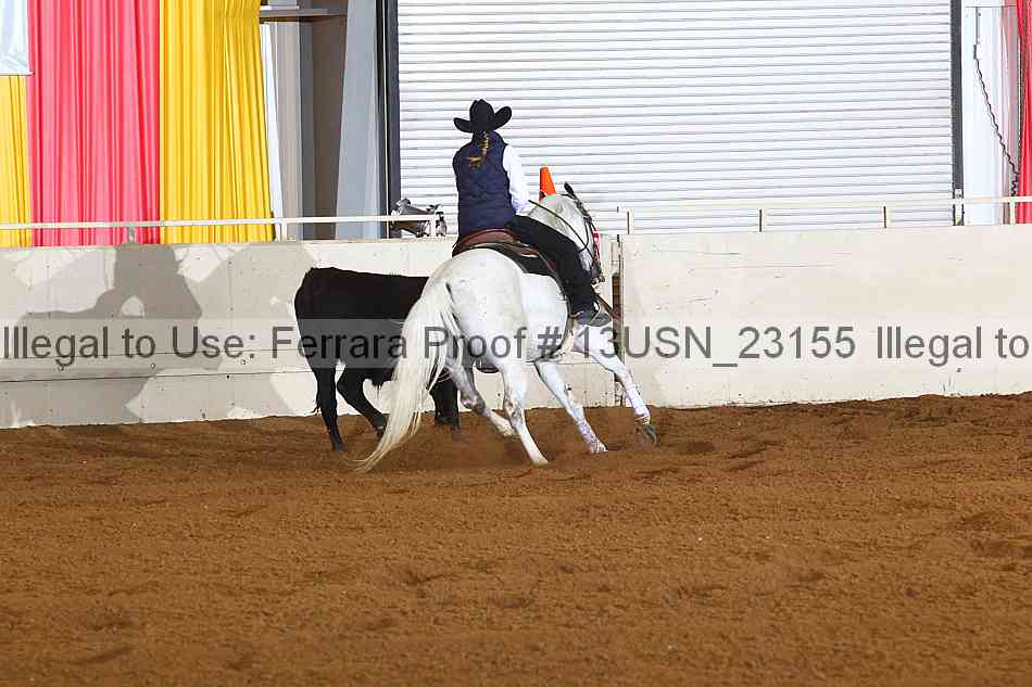 Proof 13usn_23155