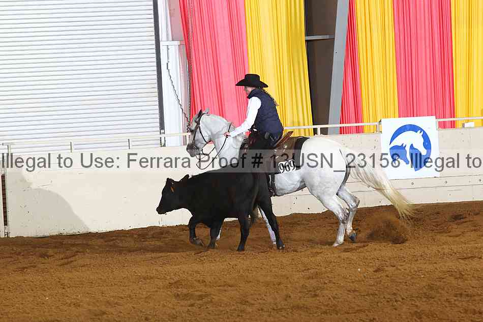 Proof 13usn_23158
