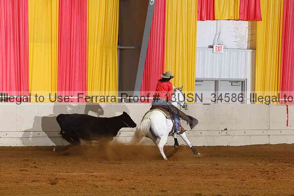 Proof 13usn_34586