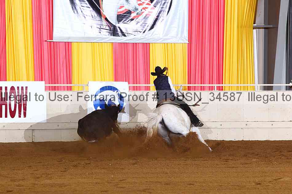 Proof 13usn_34587