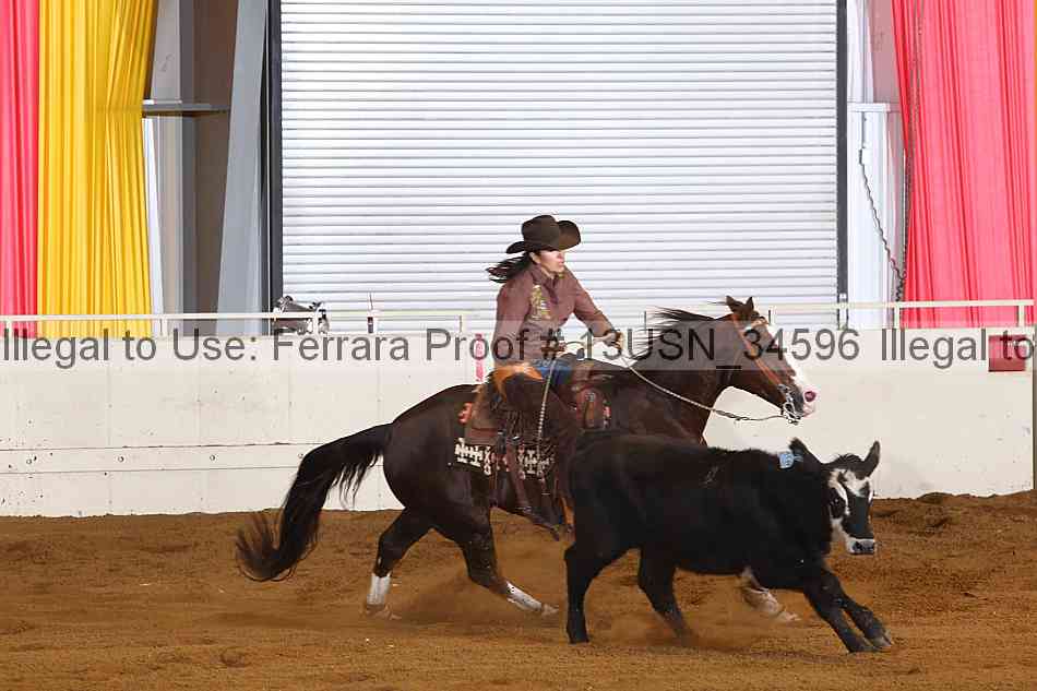 Proof 13usn_34596