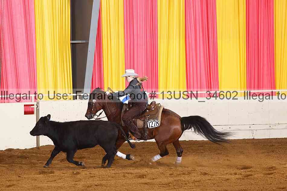 Proof 13usn_34602