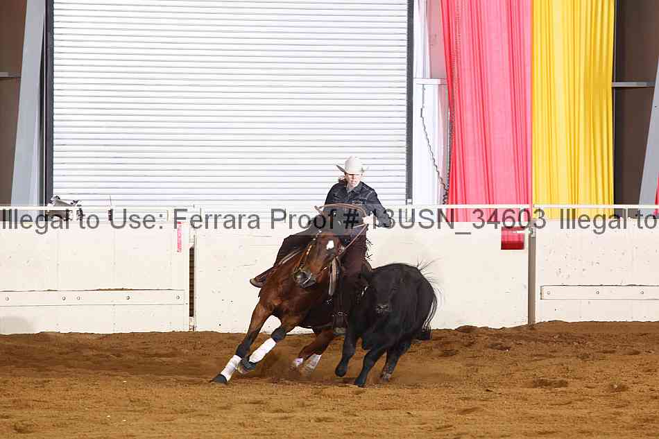 Proof 13usn_34603