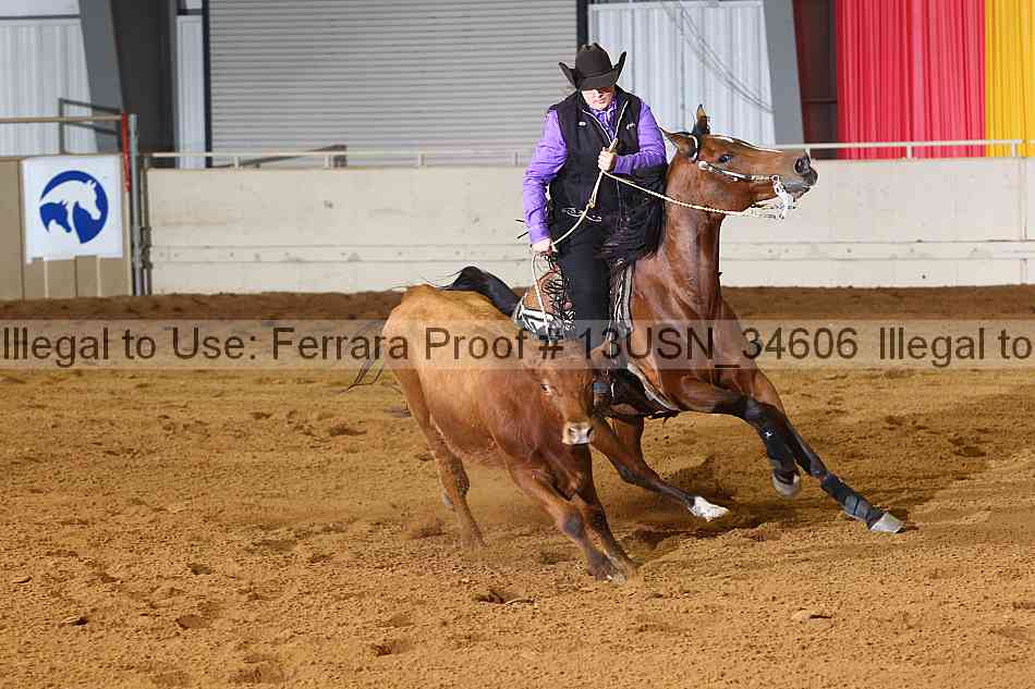Proof 13usn_34606