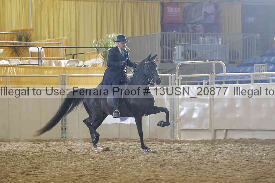 Proof 13usn_20877
