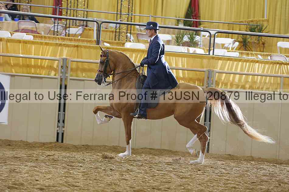 Proof 13usn_20879