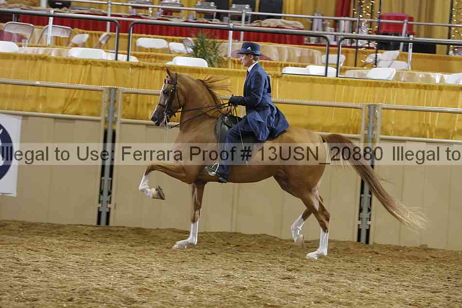 Proof 13usn_20880