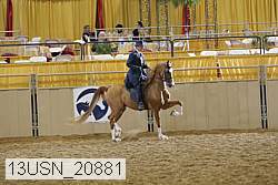 13usn_20881 proof