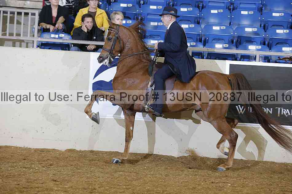 Proof 13usn_20887