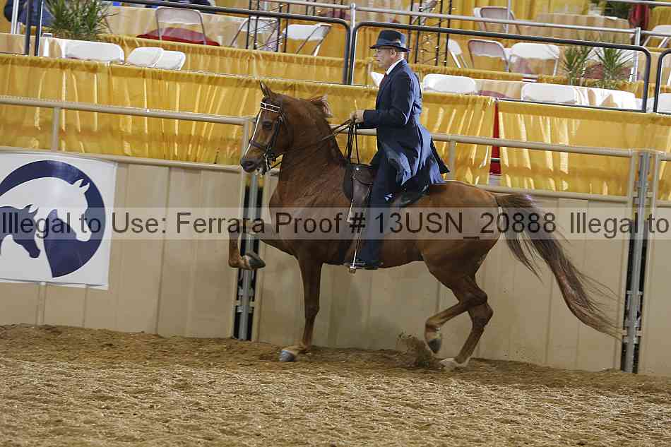 Proof 13usn_20888