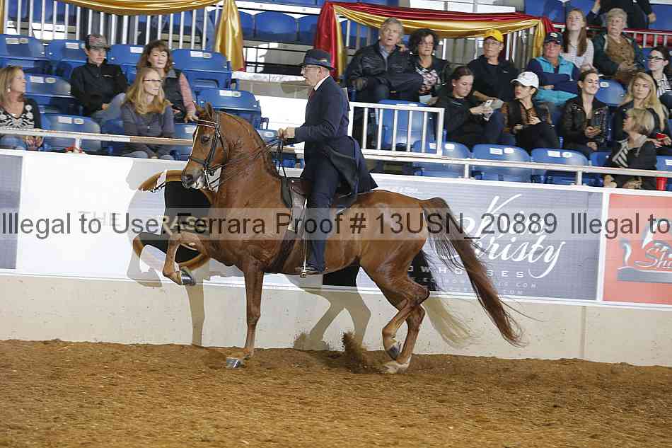Proof 13usn_20889