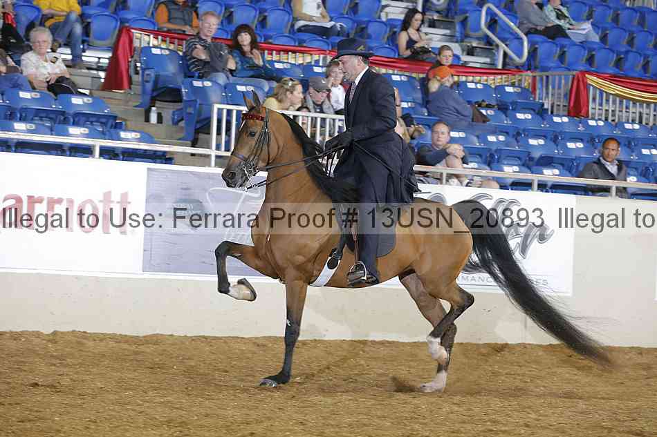 Proof 13usn_20893